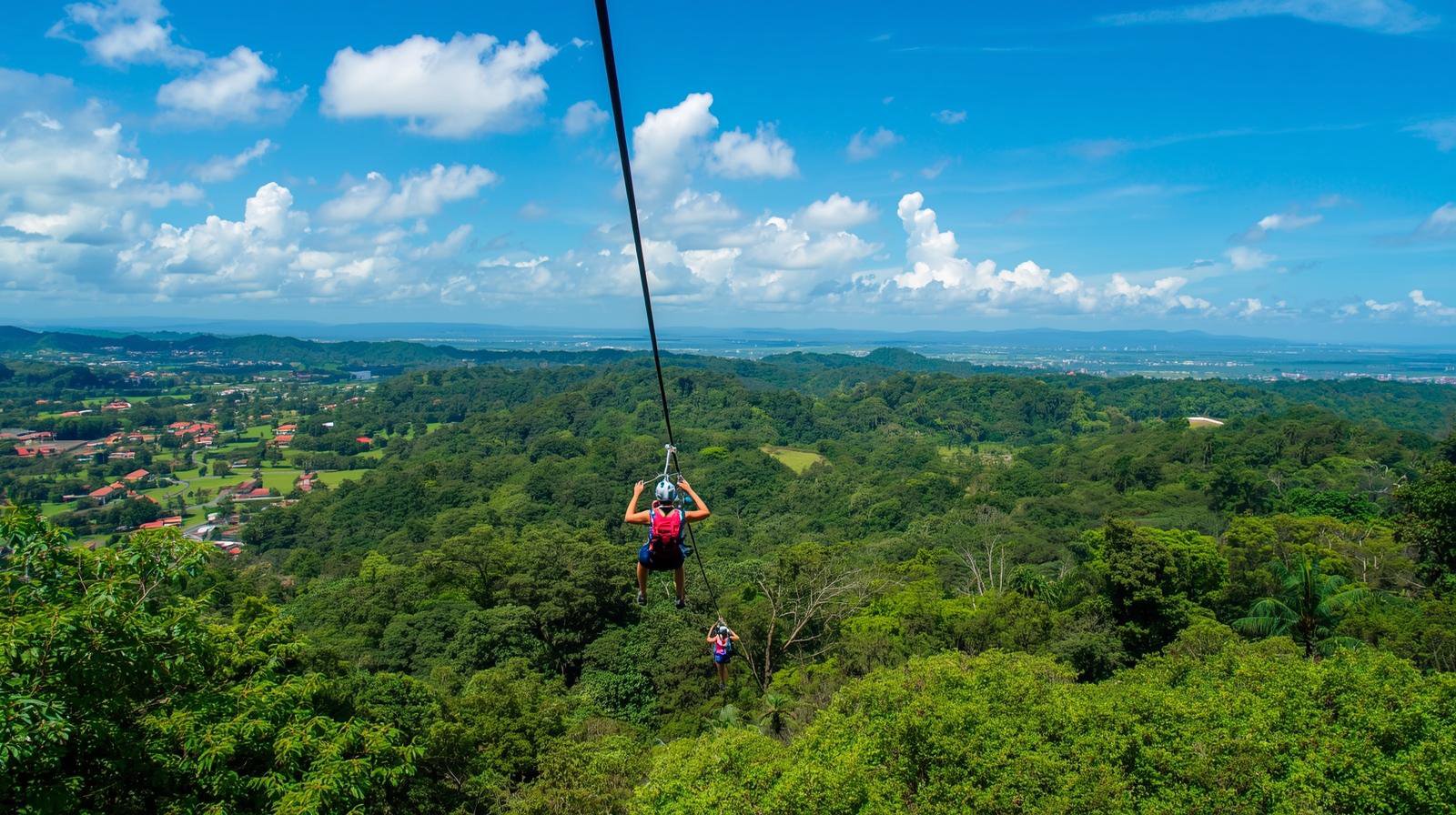 Rainforest Zipline