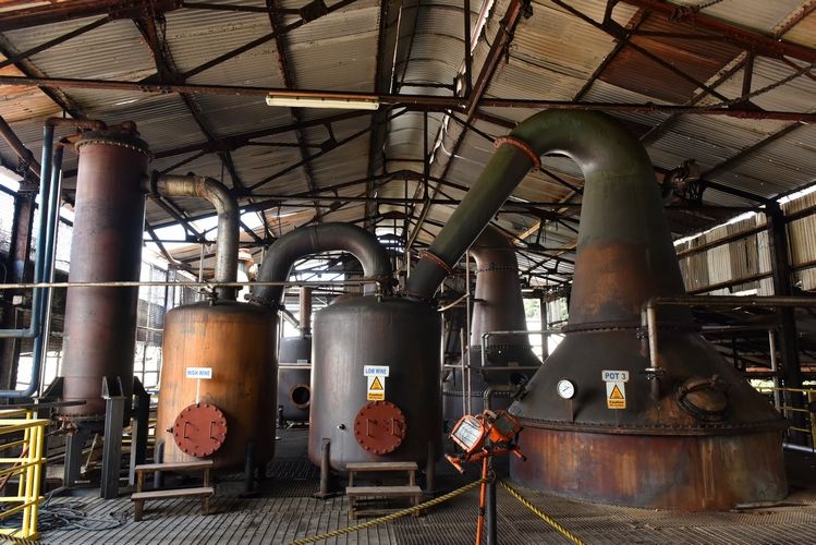 Sip and Savor: Hampden Estate Rum Tour with Lunch