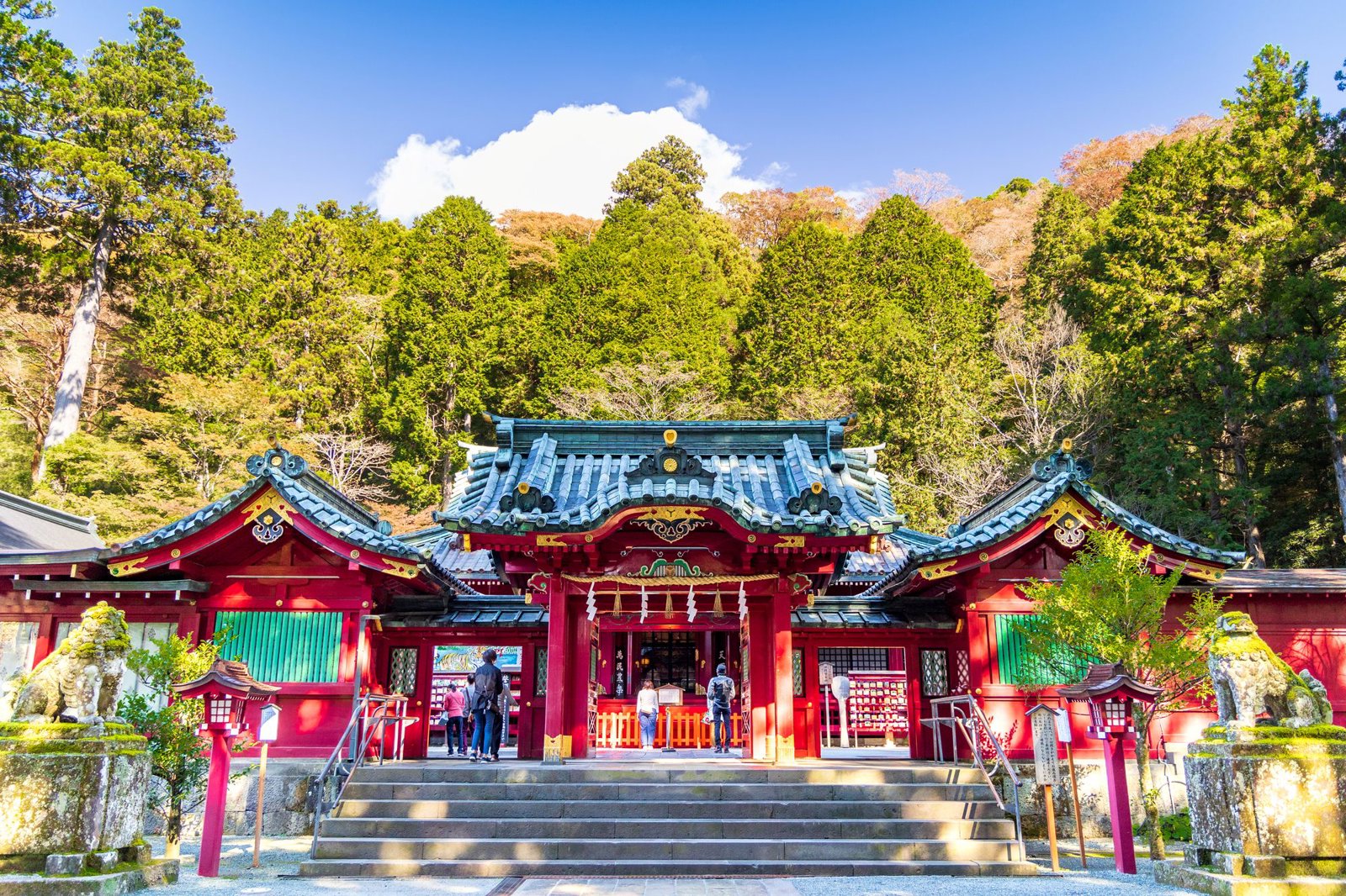 Private Tour Hakone Ropeway and Lake Ashi Cruise (Low Season)
