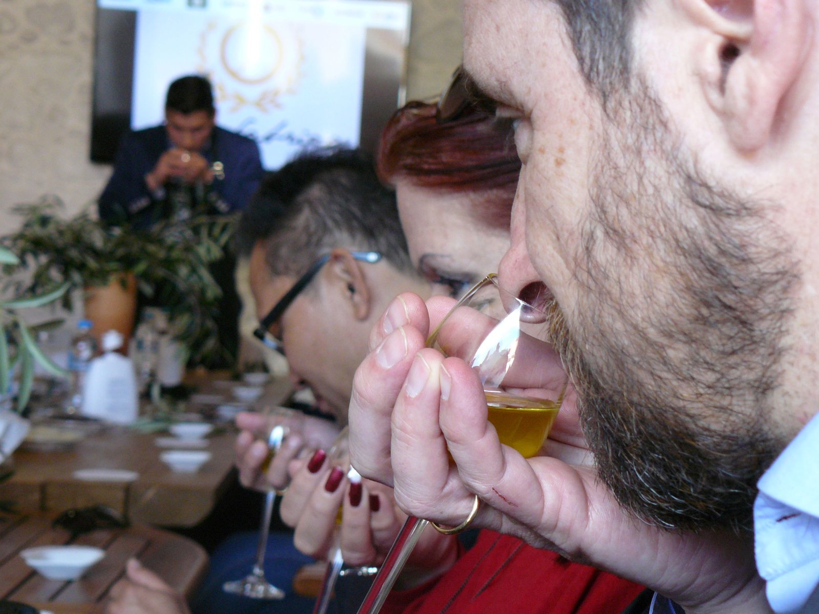 Olive Oil Experience at Governor Olive Mill – Tasting and Workshop in Corfu