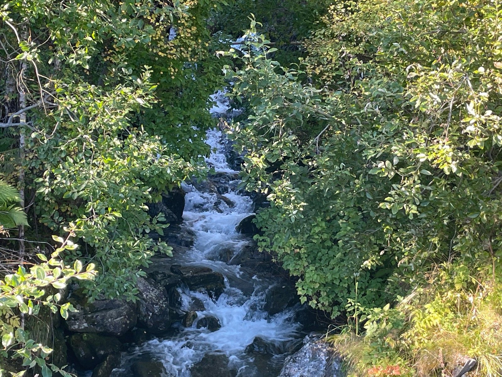 Scenic Fjord and Valley Panorama - Views of Geirangerfjord, Oye and Norangsdal