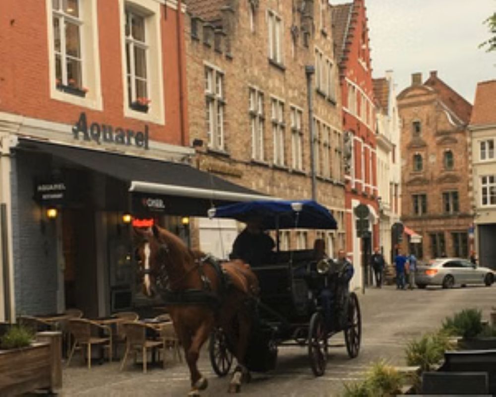 Zeebrugge to Bruges-Flexible Round-Trip Transfer