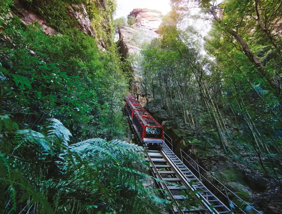 Blue Mountains, Sydney Zoo and Scenic World