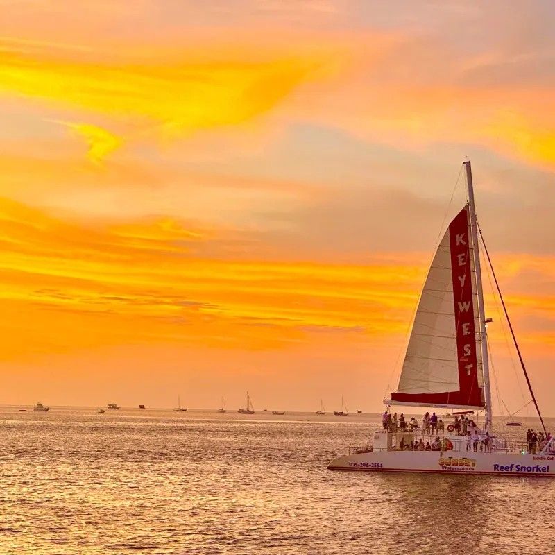 Sunset Dolphin Encounter and Snorkel Adventure