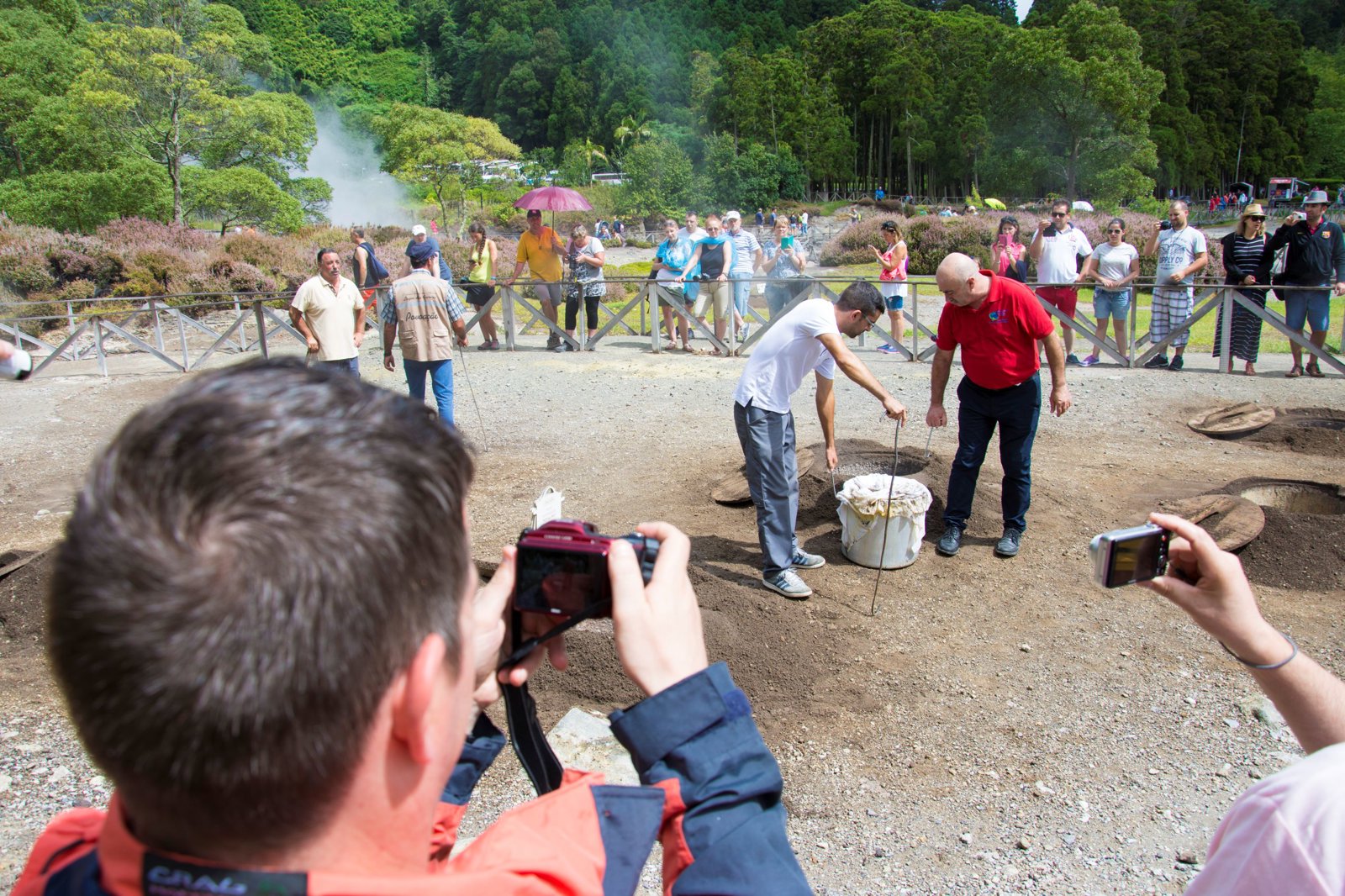 Full Day: Guided Furnas Valley Tour