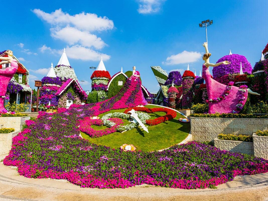 Private Dubai Miracle Garden Scenic Experience