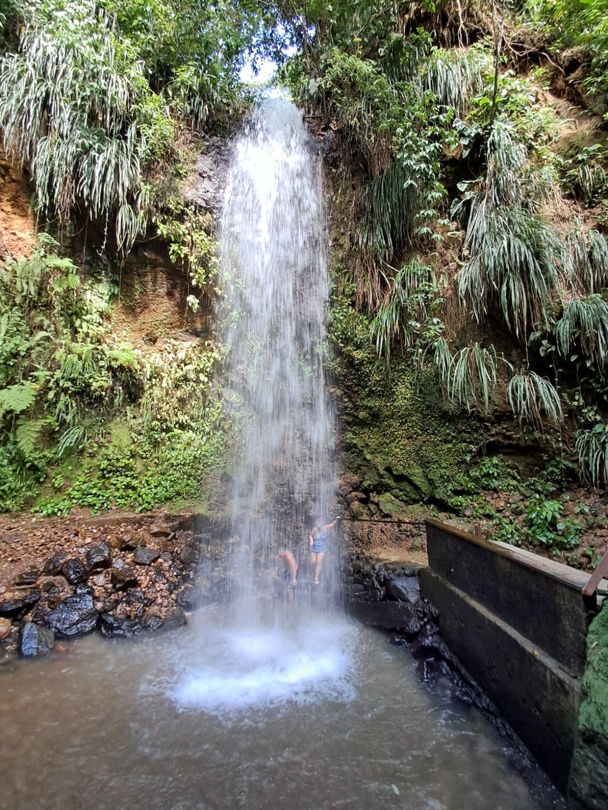 Sulphur Mineral Escape: Hot Springs, Falls and Wellness