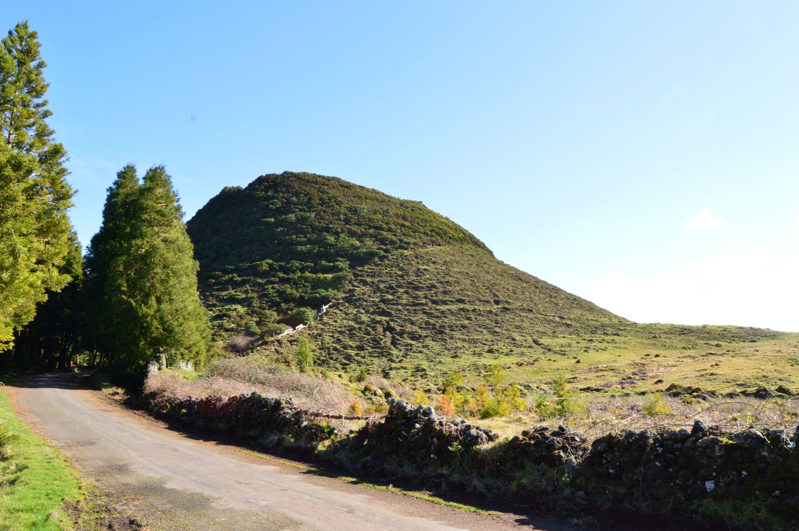 The Trail of the Black Mysteries	