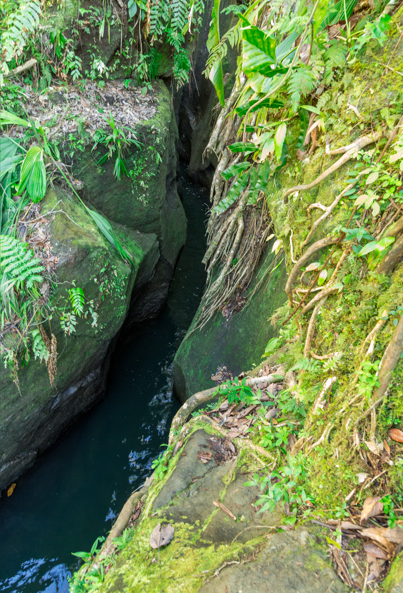 Dominica’s Wild Side: Waterfalls, Gorges and Hot Springs