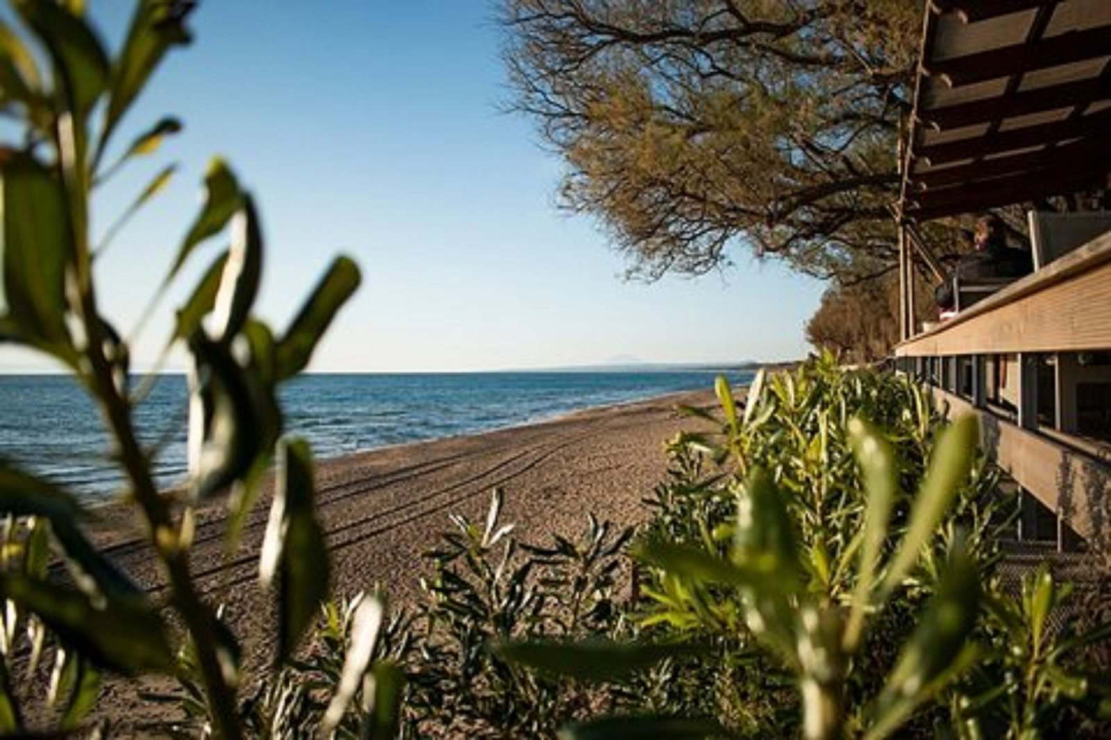 Ancient Olympia and Kourouta Beach Escape