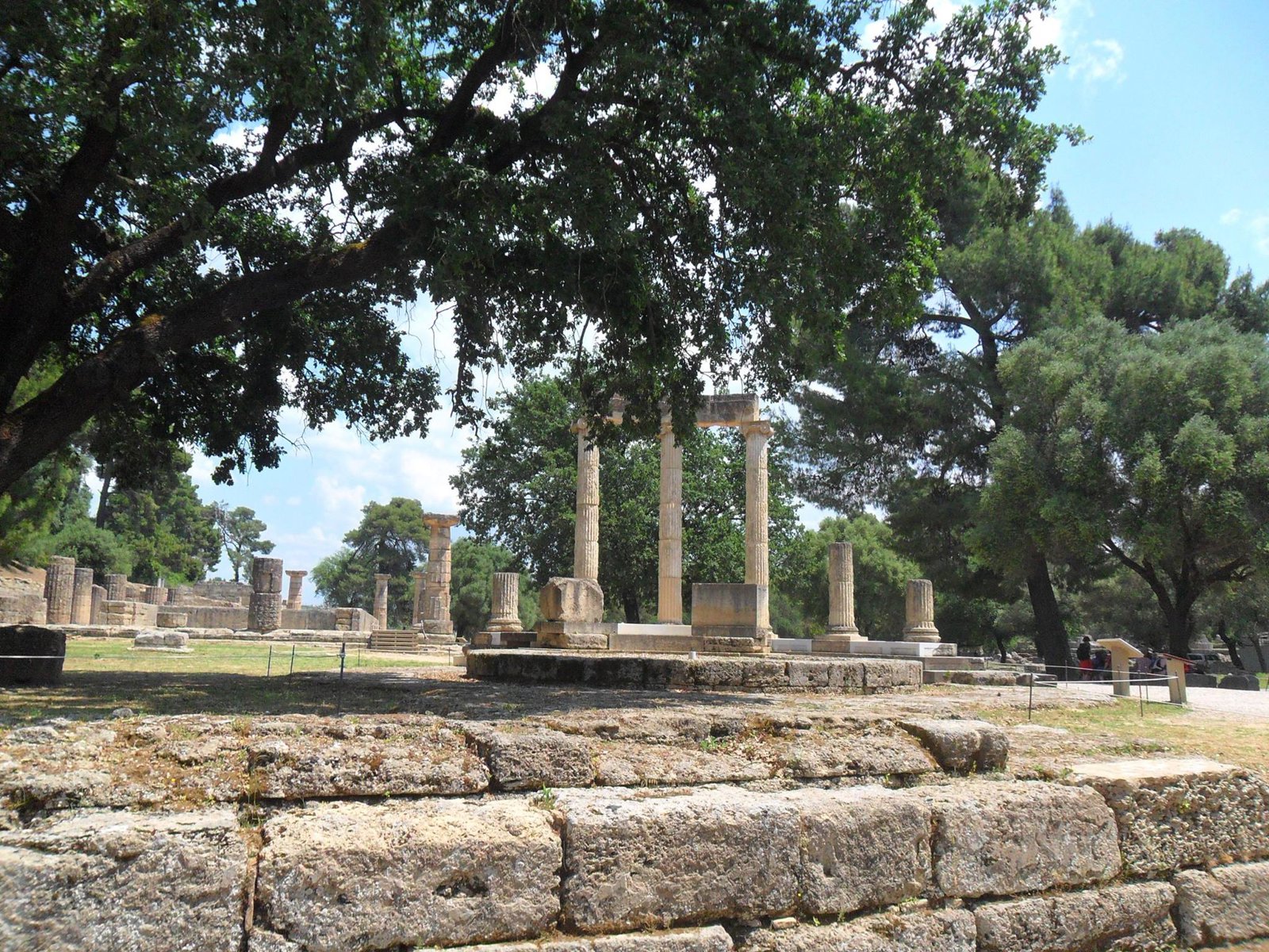Olympias Ancient Secrets and Wine Enchantment