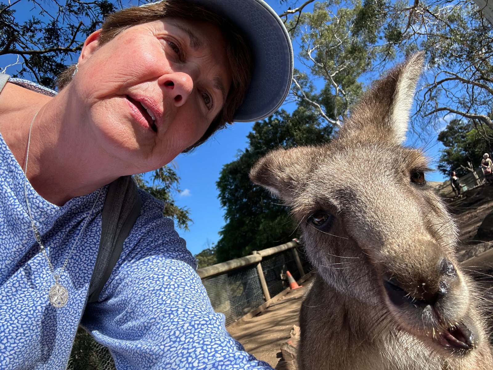 Discovering Melbourne with Lunch
