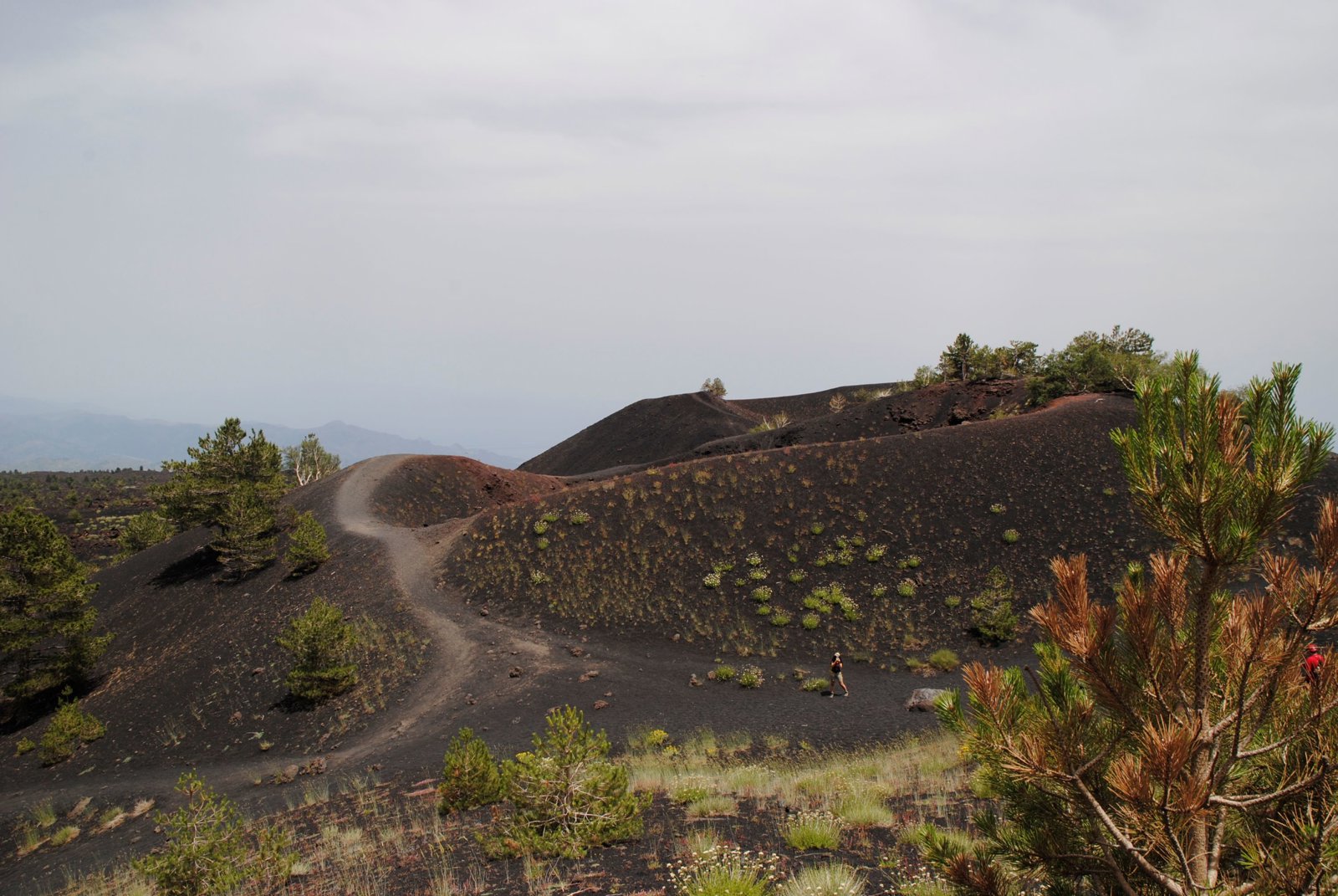 Etna Volcanic Landscapes and Alcantara River Canyon Experience