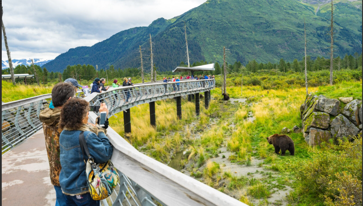Half Day Tour and Transfer from Anchorage Airport by Motorcoach to Seward Cruise Port
