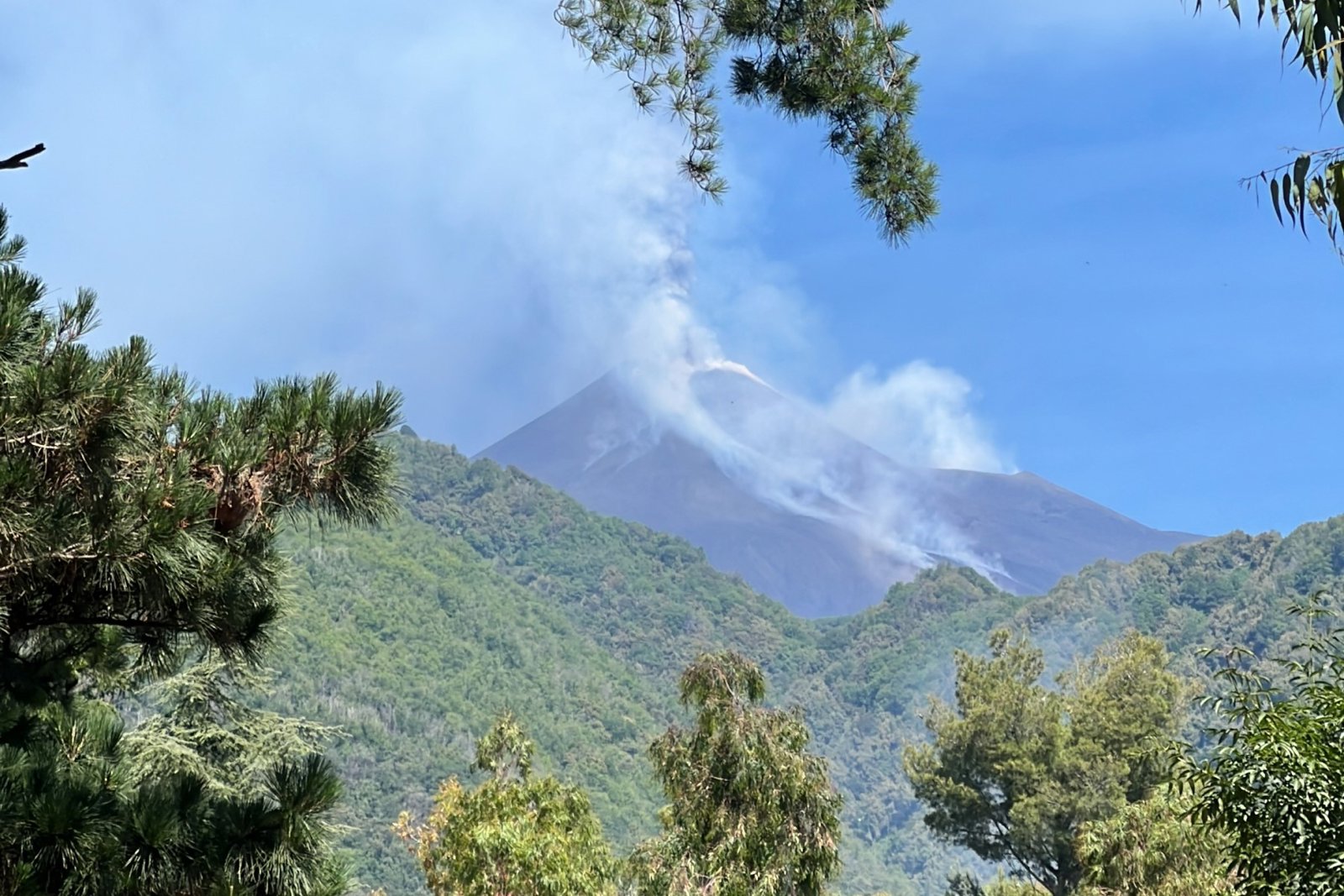 Etna’s Northern Wonders and the Alcantara Gorges Experience