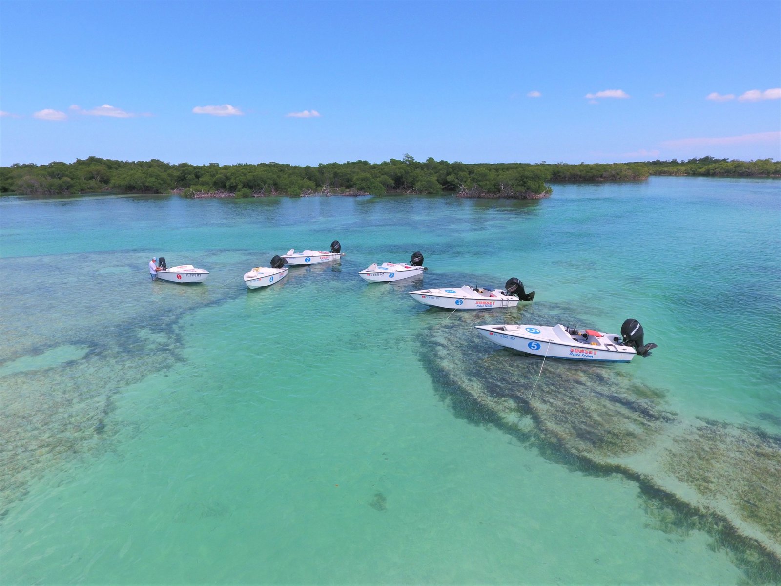 Safari Eco Tour with Snorkeling: Key West’s Ultimate Off-the-Grid Adventure