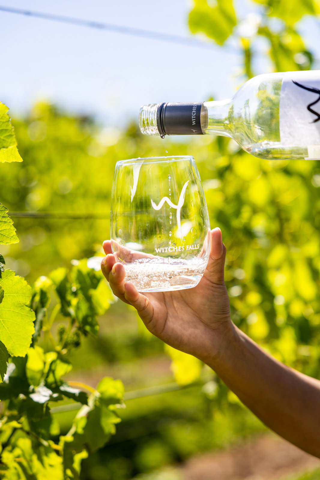 Scenic Rim Wine Exploration