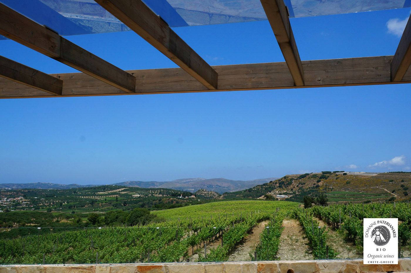 Private Knossos Palace - Organic Wine and Olive Oil Tasting