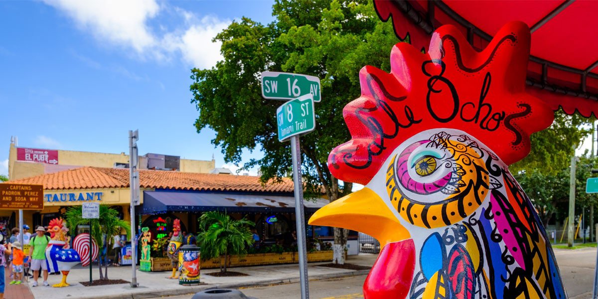 Everglades Boat Ride and Little Havana Experience