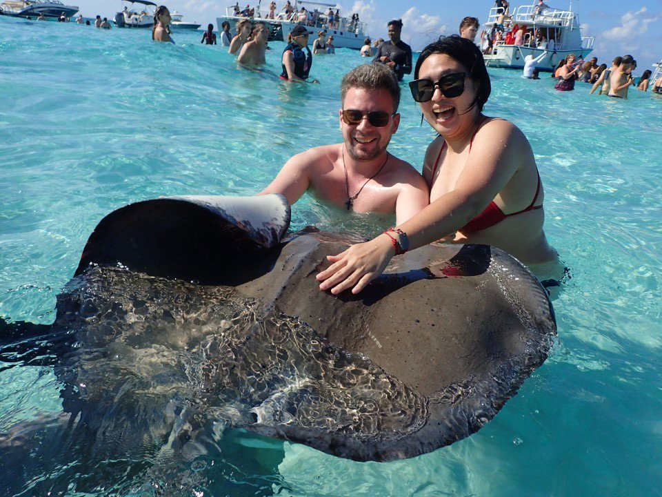 Catamaran Getaway - Stingray City, Starfish Point and Beach Time