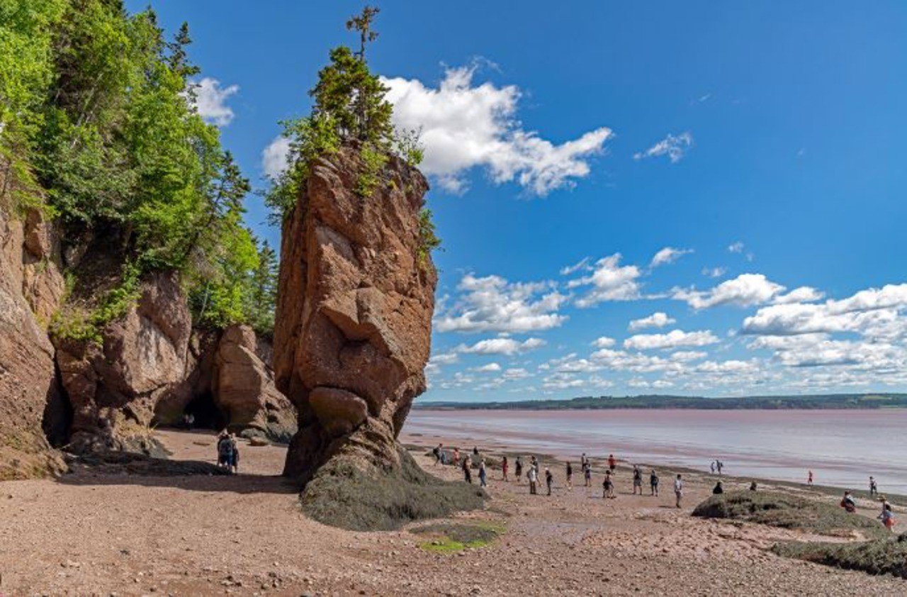 Private Hopewell Rocks and the Bay of Fundy Full Day Sightseeing