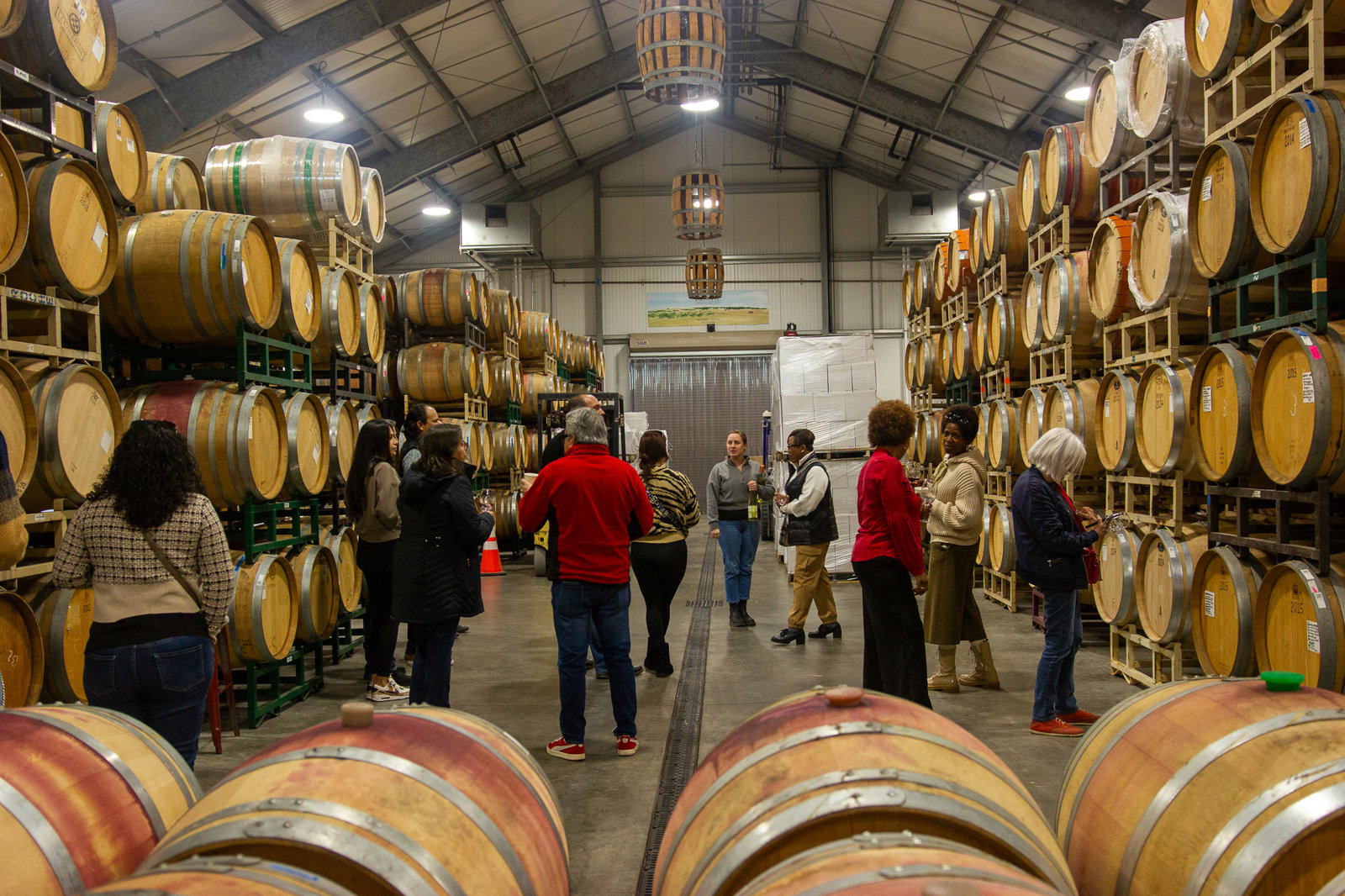 Ultimate Napa and Sonoma Wine Country Tour – Immersive Tasting Experience