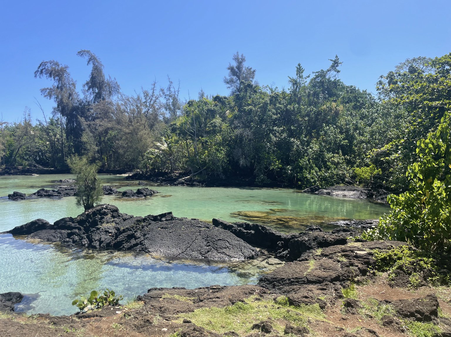 Hilo Beach Snorkel