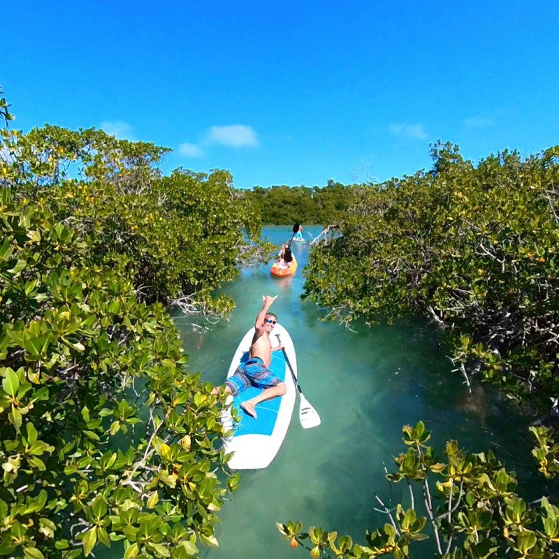 Ultimate Key West Backcountry Kayak Adventure