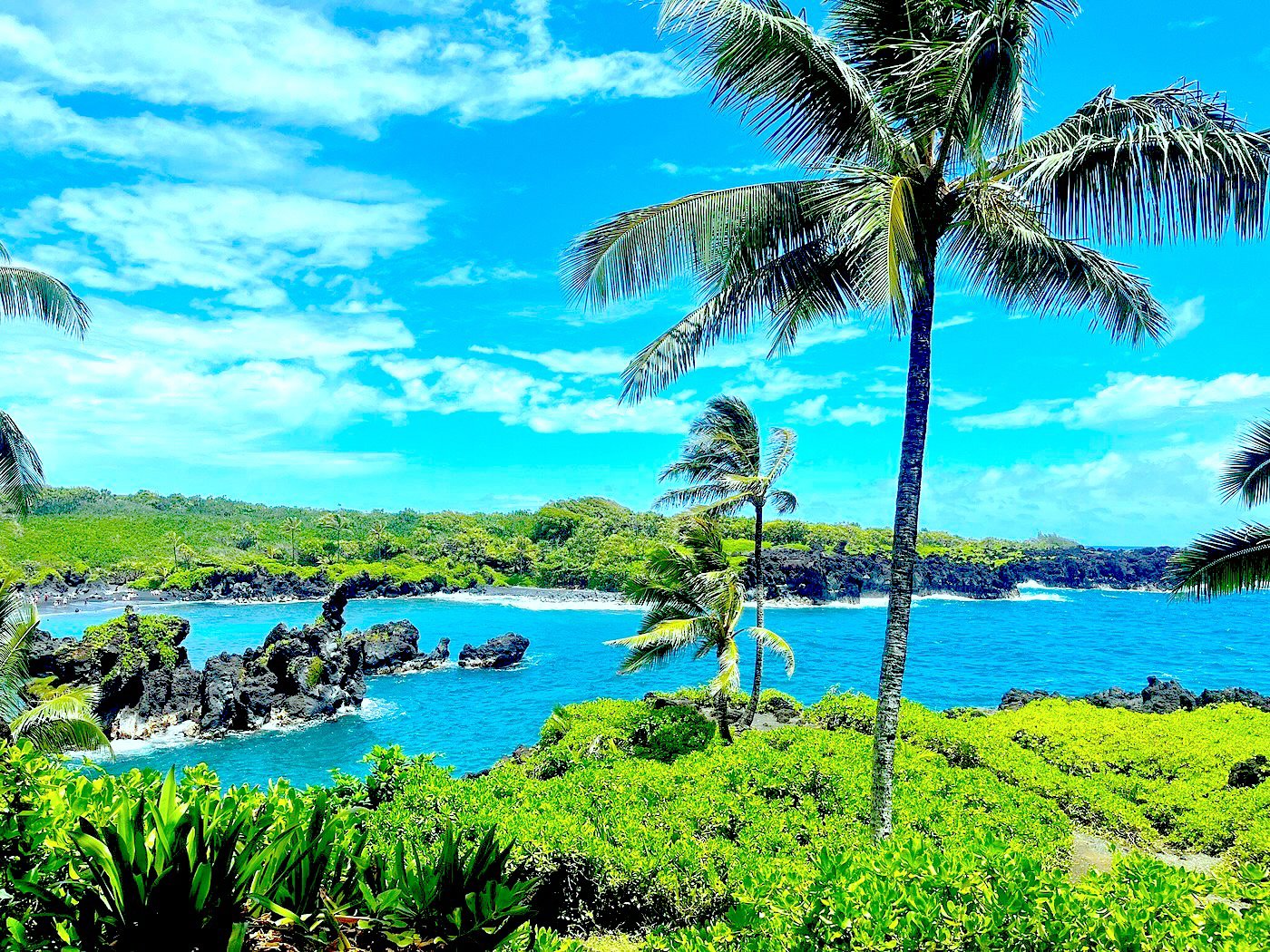 The Ultimate Road to Hana Experience – Waterfalls, Black Sand Beach and Turtles
