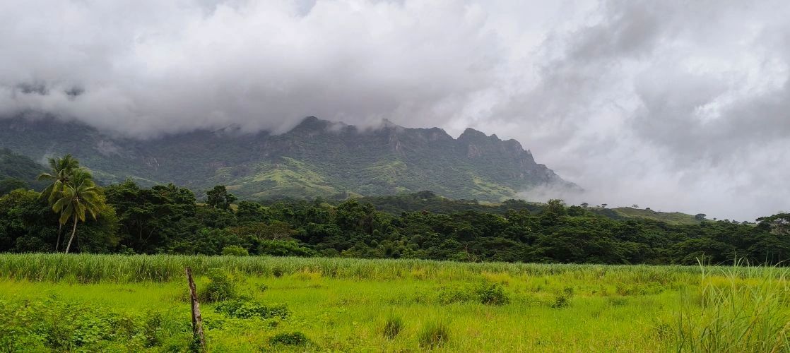 Vuda Orchids and Coastal Delights: A Cultural and Scenic Escape in Lautoka