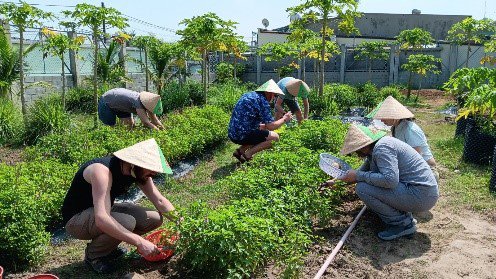 Private Cu Chi Tunnels and Local Vietnamese Farm Experience 