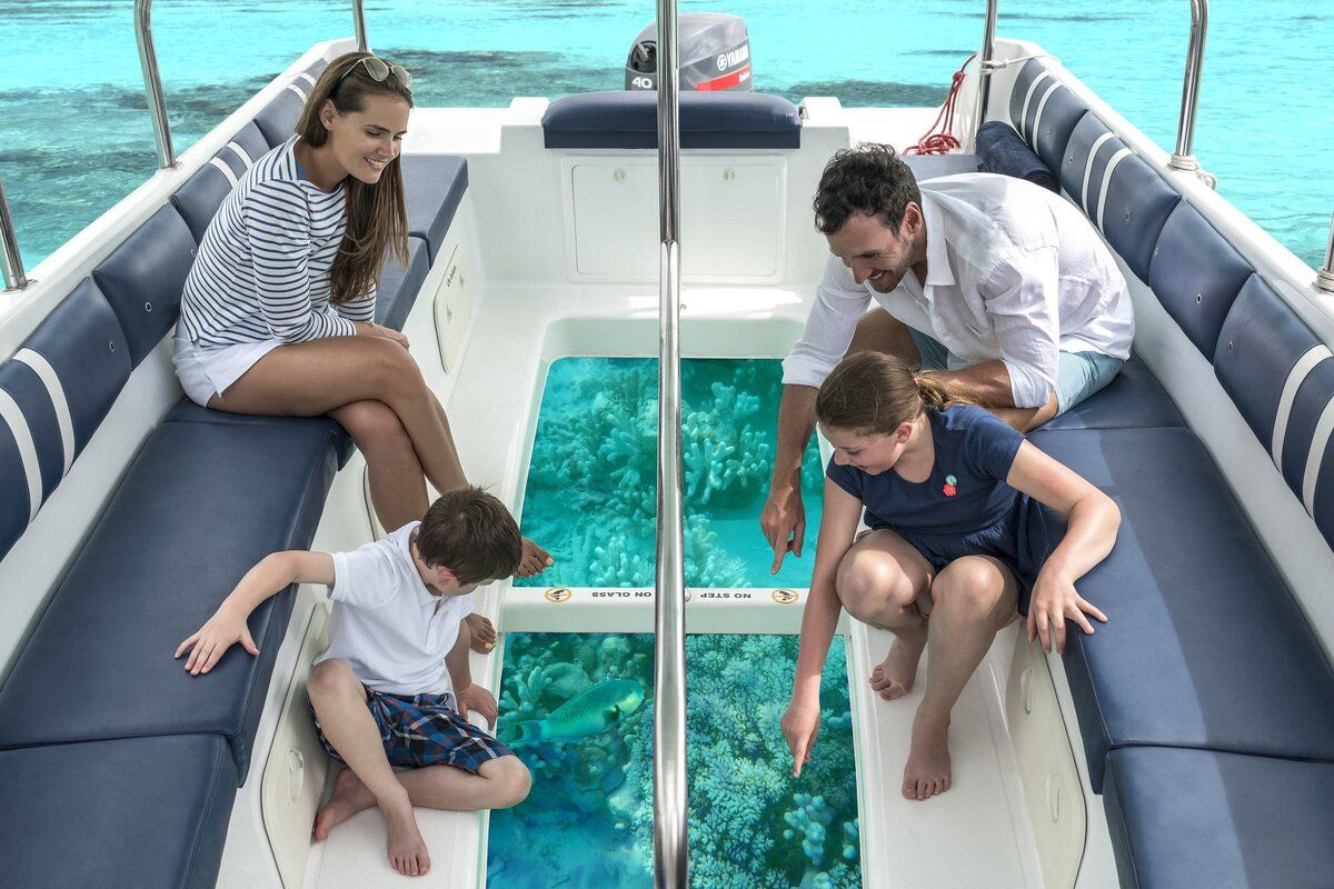 Red Sea Glass-Bottom Boat Experience