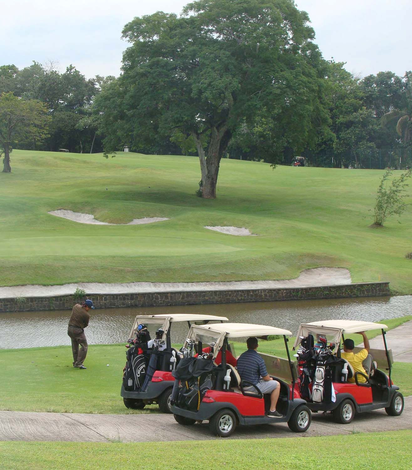 Tee Off Along the Panama Canal: Tucan Golf Experience from Amador Port