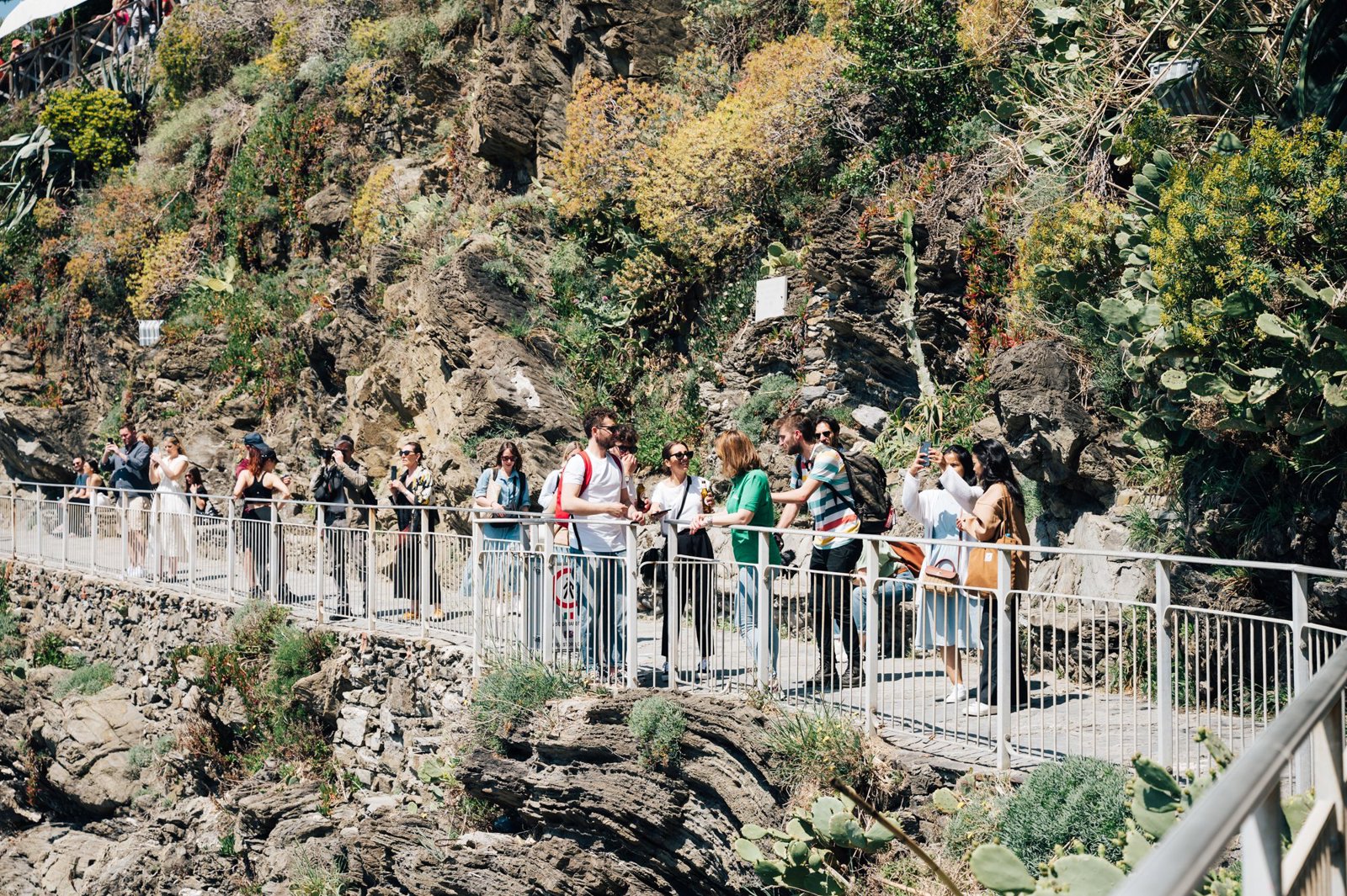 Discover Pisa, Leaning Tower and Cinque Terre - Manarola