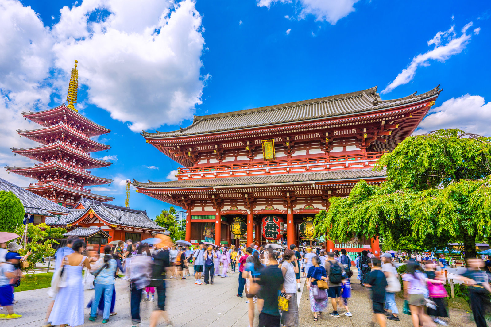 Private Tour of Tokyo Highlights (Low Season)