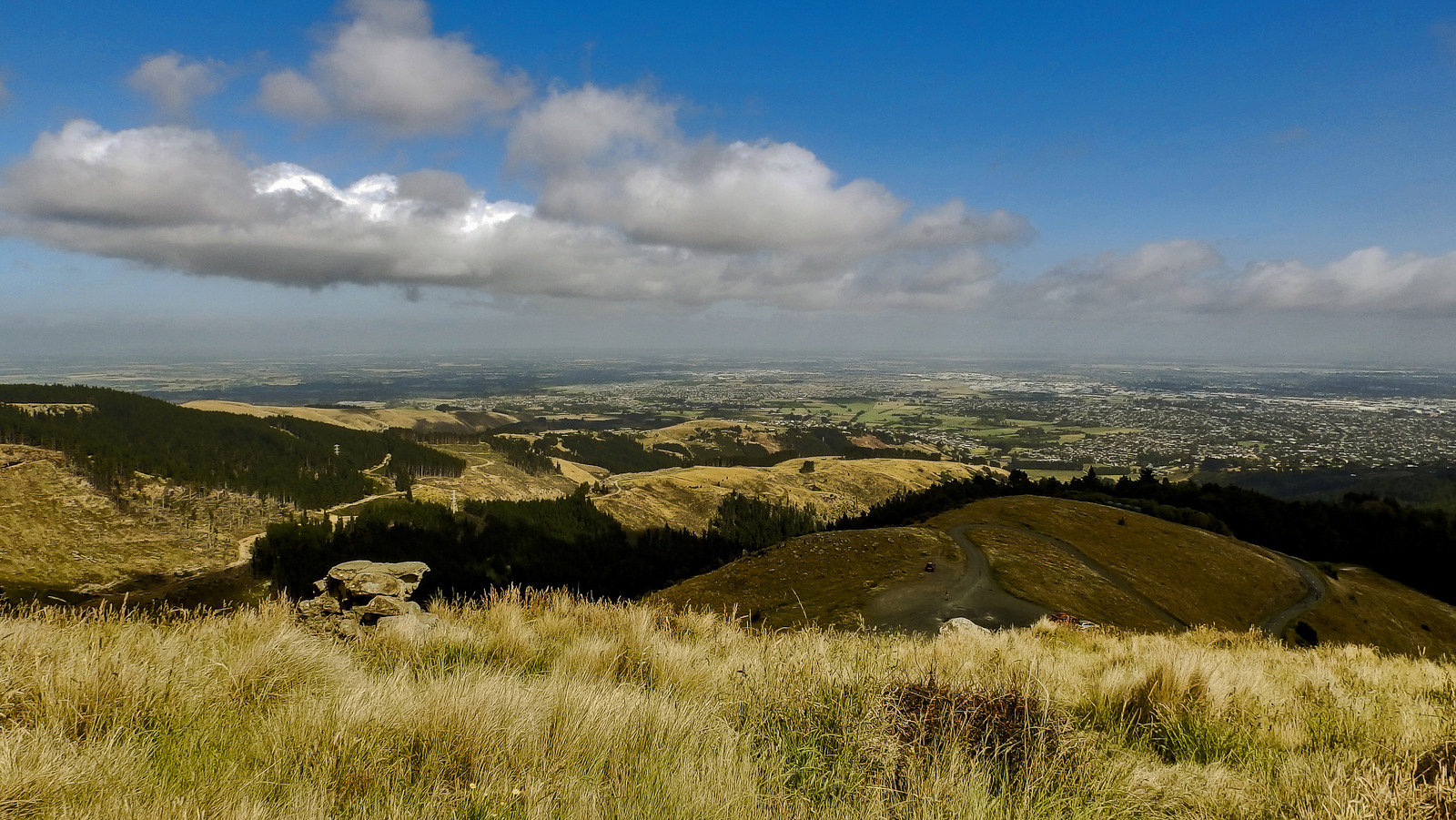 Taste and Tour: Christchurch and the Waipara Wine Region with Lunch