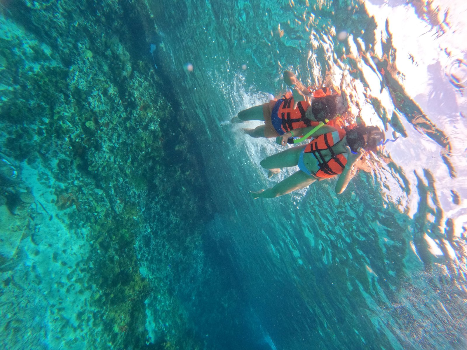 Complete Cozumel:Clear Boat, Otoch Theme Park, San Martin Beach plus Lunch and Tastings