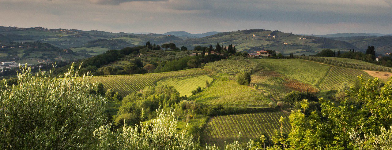 Tuscan Countryside Truffle Adventure and Feast