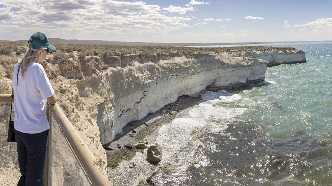 Puerto Madryn City Highlights and Punta Loma Sea Lion Reserve
