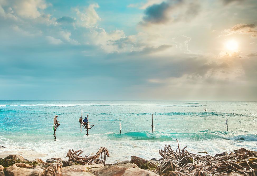 Private Tour South Coast Charm: Galle Fort, Fisherman and Tea Estate Plus Lunch