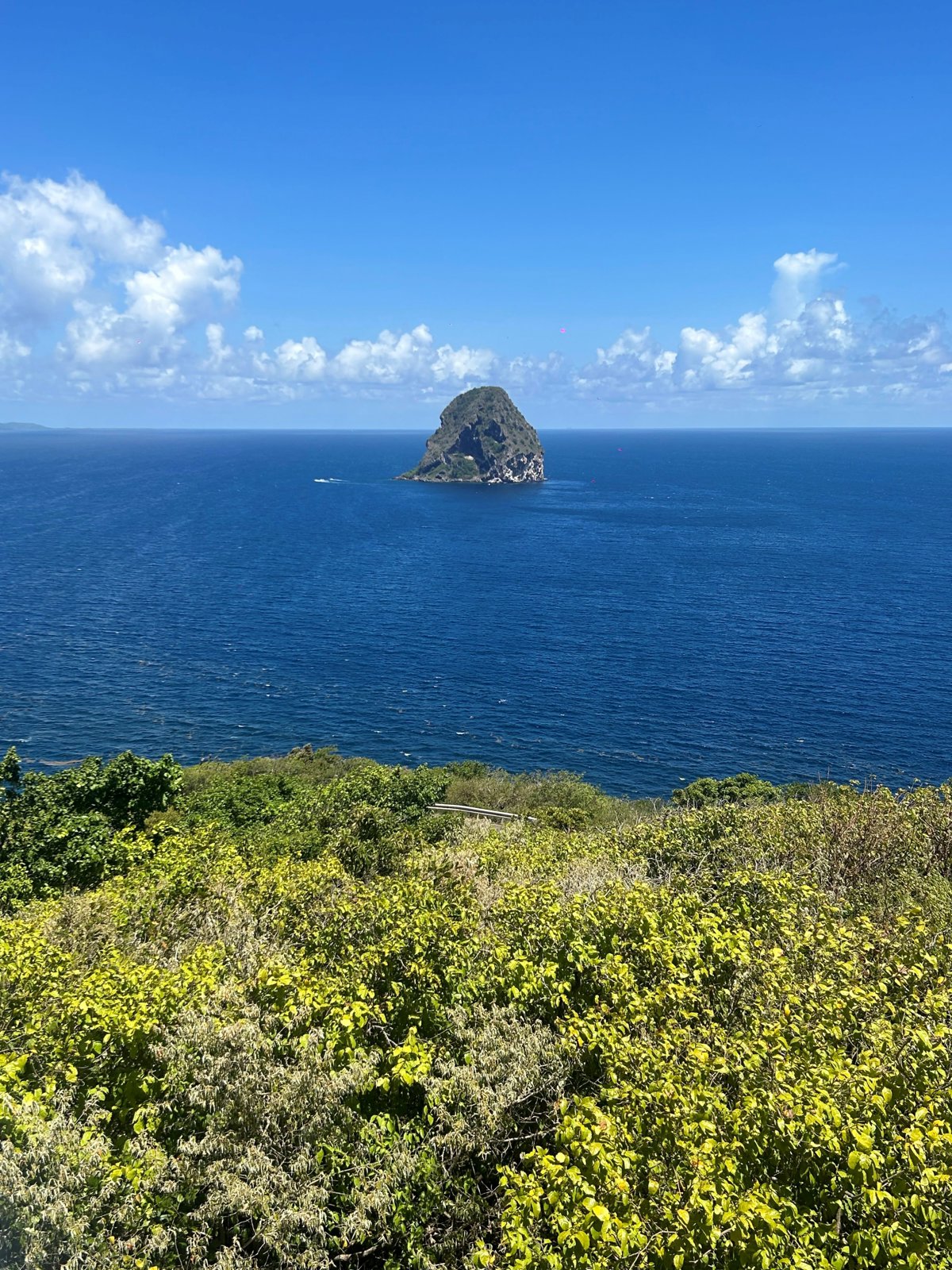 Private Authentic Southern Martinique Experience