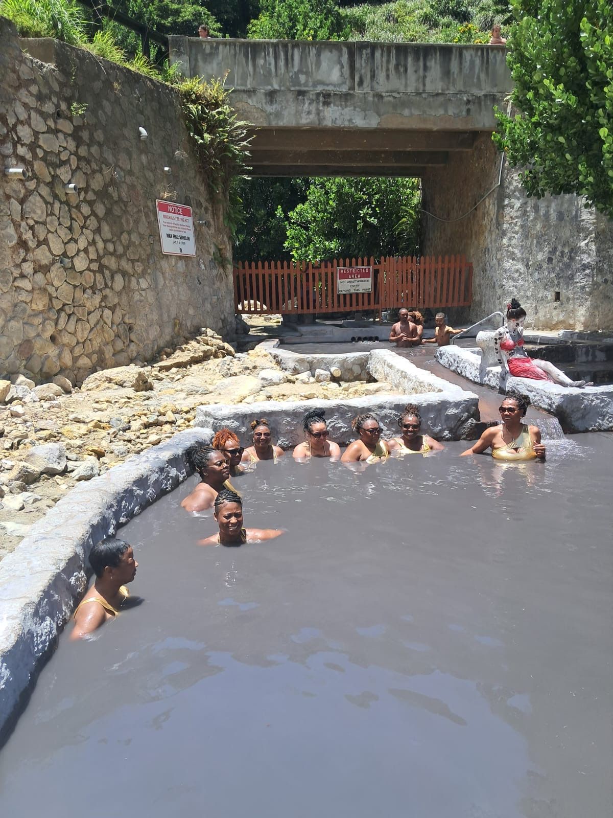 Sulphur Mineral Escape: Hot Springs, Falls and Wellness