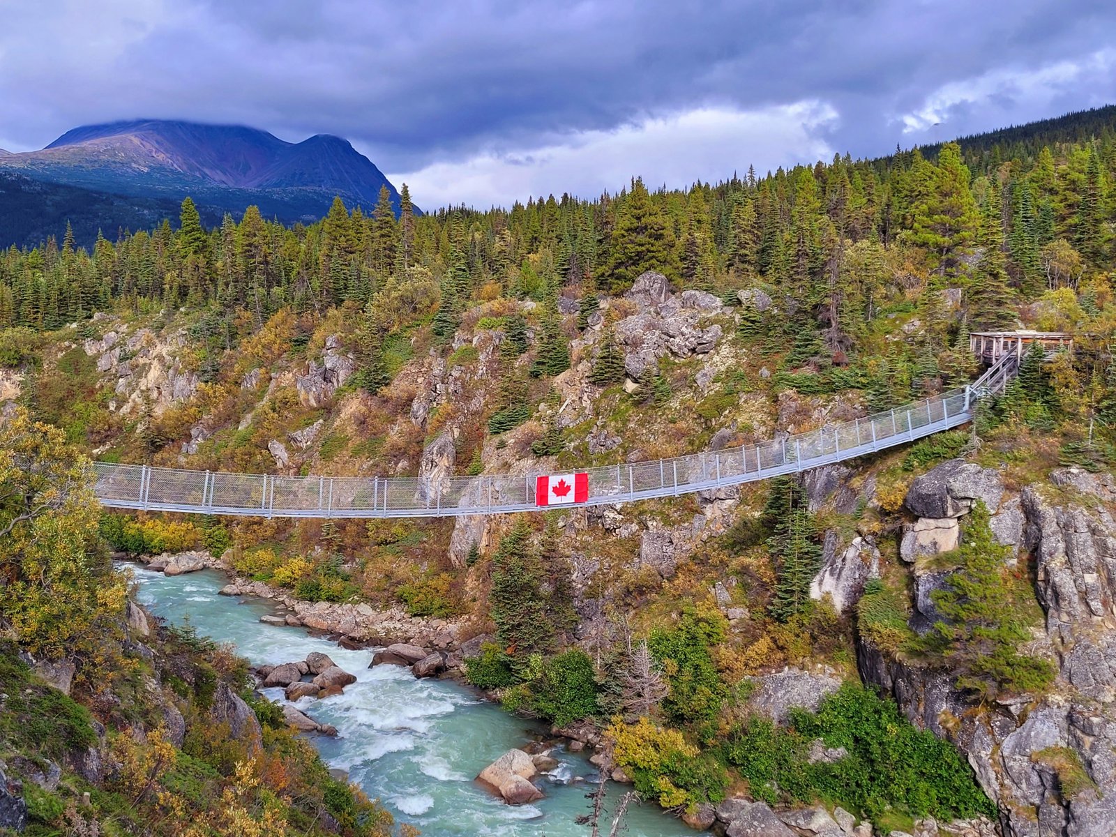 Yukon Wilderness and Suspension Bridge Tour