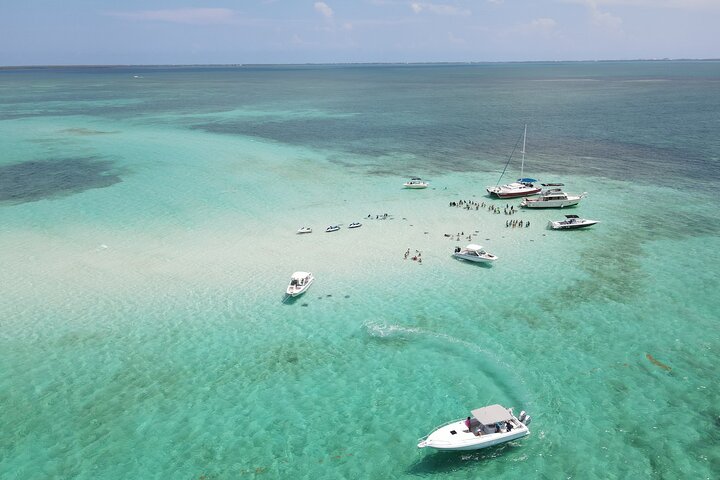 Stingrays and Sunset Catamaran Sail
