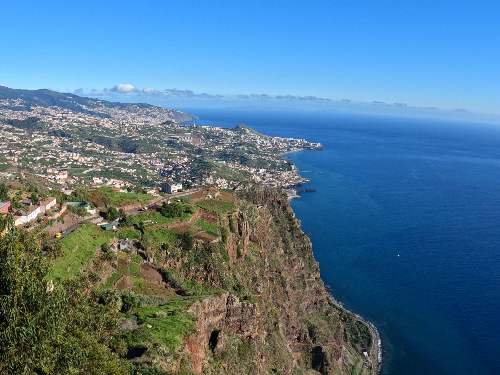 Landscapes, Native Forest, Rum and Madeira Wine