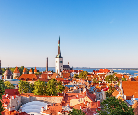 Private Tallinn and Surroundings in a Day