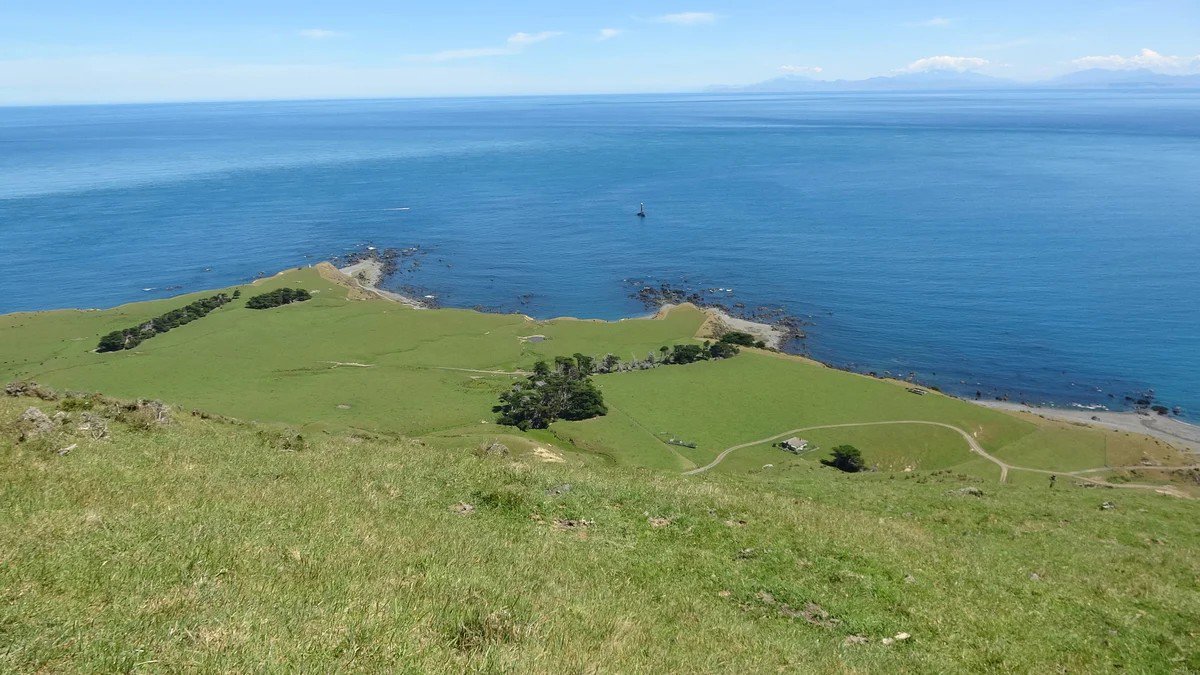 Seals and Sightseeing Tour
