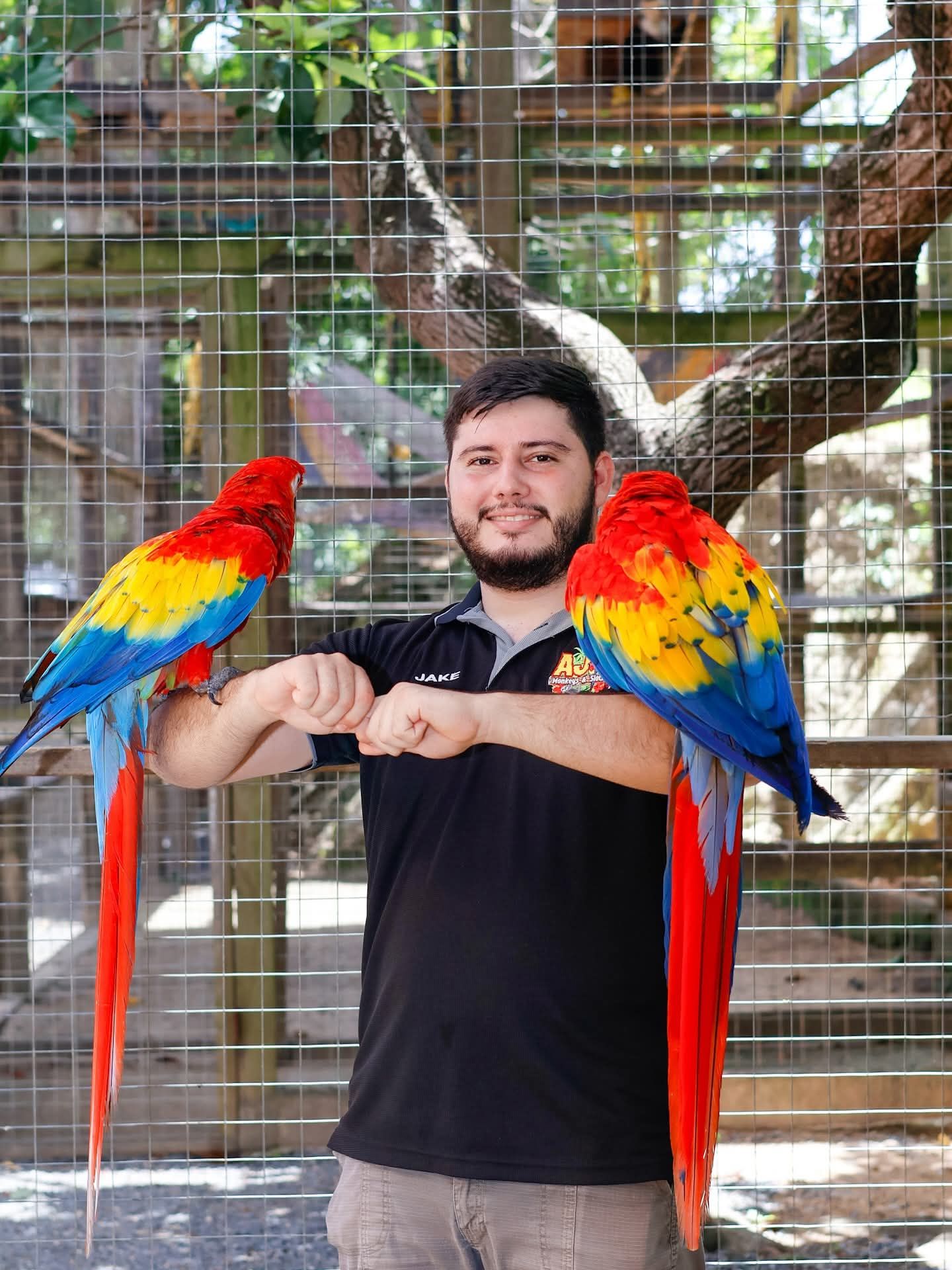 Brady's Cay Day Pass with Snorkeling plus Monkeys and Sloth Park Visit