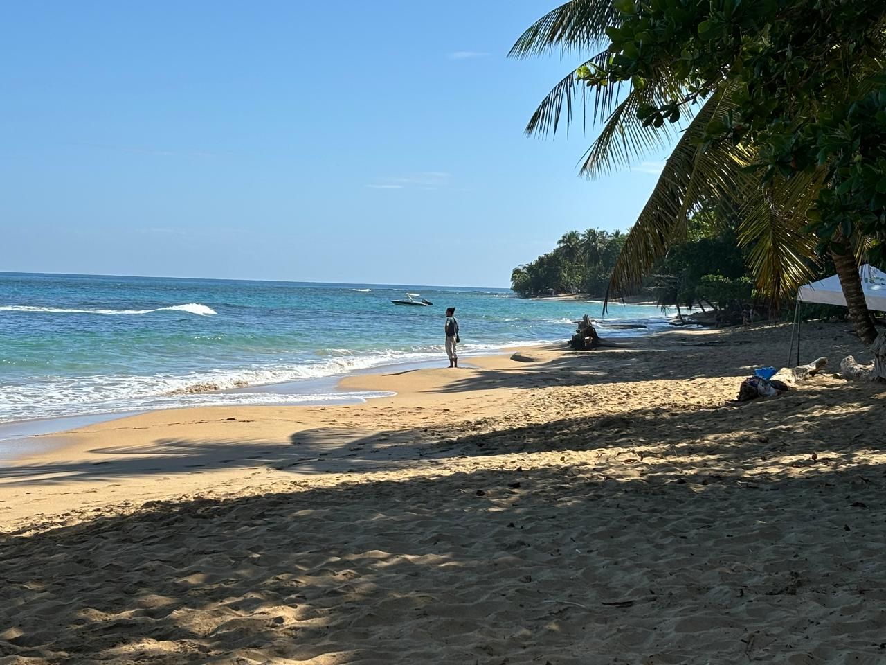 Pura Vida Beach Party