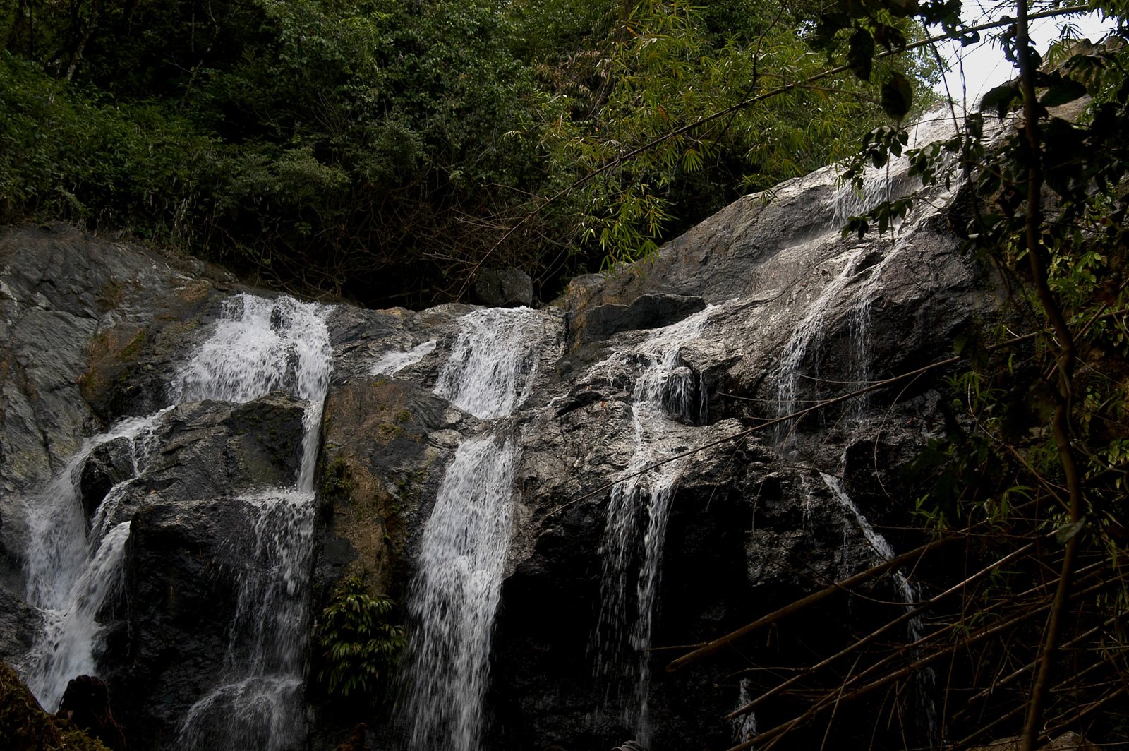 Argyle Waterfalls Nature Experience